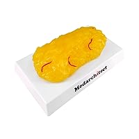 Authentic Human Body Fat Replica with Red Veins - 1 lb, Keep Fit & Weight Loss Motivation & Reminder, Human Fatty Tissue Demonstration Model for Nutritionist, Science Course for Medical Student