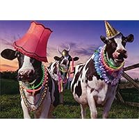 Party Cows Avanti Funny/Humorous Birthday Card