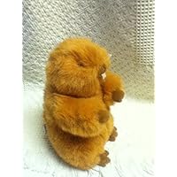 Gund Beaver Plush Toy