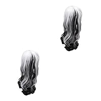 BESTOYARD 2pcs Halloween Wig Long Wavy Wig for Women Long Grey Wavy Hair Wigs Cosplay Wigs Natural Wave Wigs Lolita Wig Black White Wig Clothing Miss Curly High Temperature Wire