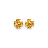 14k Yellow Gold Love Heart shaped Citrine Flower Post Earrings Measures 9x9mm Wide Jewelry for Women