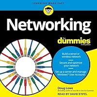 Networking For Dummies: 11th Edition (The For Dummies Series) Networking For Dummies: 11th Edition (The For Dummies Series) Audible Audiobook Paperback Audio CD
