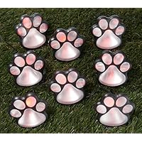 Safe Havenz Colored Paw Print Solar Garden Lights, Adorable LED Solar Paw Lights for Pathway Illumination, Weatherproof Yard Decorations Outdoor, Set of 8, 3
