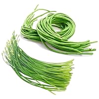 Bundle: Chinese Yard Long Pole Bean Seeds for Planting + Chinese Chive Seeds 豇豆韭菜
