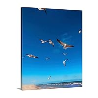 Seagull-16X20 Seagull Canvas-Canvas Prints-Gallery Wrapped-Wall Art-Phoenix Bloom Original Ocean Beach Birds Freedom Flying Picture Bird Picture Seagull Picture