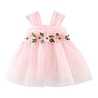 Toddler Kids Baby Girls Summer Casual Chiffon Dress Party Dress Clothes Girl Clothes