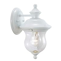 Design House 503839 Highland Traditional 1-Light Outdoor/Indoor Wall Light with Clear Seedy Glass for Porch Entryway Patio, White