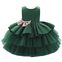 Flower Girls Lace Wedding Embroidery Ruffle Tulle Dress Party Sequins Bowknot Princess Pageant Party Evening Ball Gown