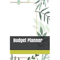 Budget Planner (German Edition)