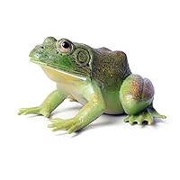 Simulated Tree Frog Model Figure Toy, Realistic Bullfrog Figurines Collection Playset Science Educational Props