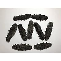 8 Ounce（227 grams）Dried seafood sea cucumber from China Sea