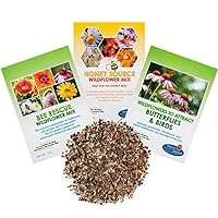 Wildflower Seeds - Pollinators Collection - Bulk Annual/Perennial Seed - Open-Pollinated, No Fillers, Honeybees, Native Bees, Birds & Butterflies, Pollinators