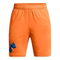 Under Armour Boys' Tech Big Logo Shorts