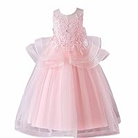Girl Sleeveless Embroidery Princess Pageant Dresses for 5T-14T Teen Kids Prom Ball Gown Birthday/Wedding