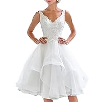Short Lace Wedding Dresses Knee Length Tulle V-Neck Lace Up Bride Gowns Vintage Dress