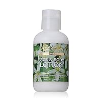 Aloe Life - Face & Body Lotion, Concentrated Formula, Hydrates Dry Skin, Contains Antioxidants, Minerals, & Herbal Extracts, Pleasant Grapefruit Scent, Safe For All Skin Types, Gluten-Free (4 oz)