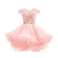 Tsbridal Women's Off The Shoulder Organza Short Homecoming Dress Lace Applique Junior Formal Cocktail Party Gown