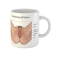 Coffee Mug Reproductive Anatomy of Vulva System Anus Vagina Perineum Hair 11 Oz Ceramic Tea Cup Mugs Best Gift Or Souvenir For Family Friends Coworkers