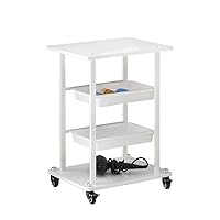 Recycling Vehicles,Beauty Salon Instrument Equipment Cart on Silent Wheels, Tattoo Desktop Instrument Base Trolley with 2 Trays,Collecting Vehicles