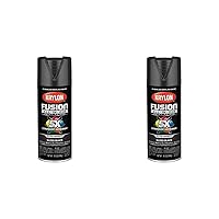 Krylon K02702007 Fusion All-In-One Spray Paint for Indoor/Outdoor Use, Gloss Black, 12 Ounce (Pack of 2)