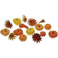 Boston International Fall Autumn Harvest Thanksgiving Décor Tabletop Boxed Pumpkins, Mini, Orange