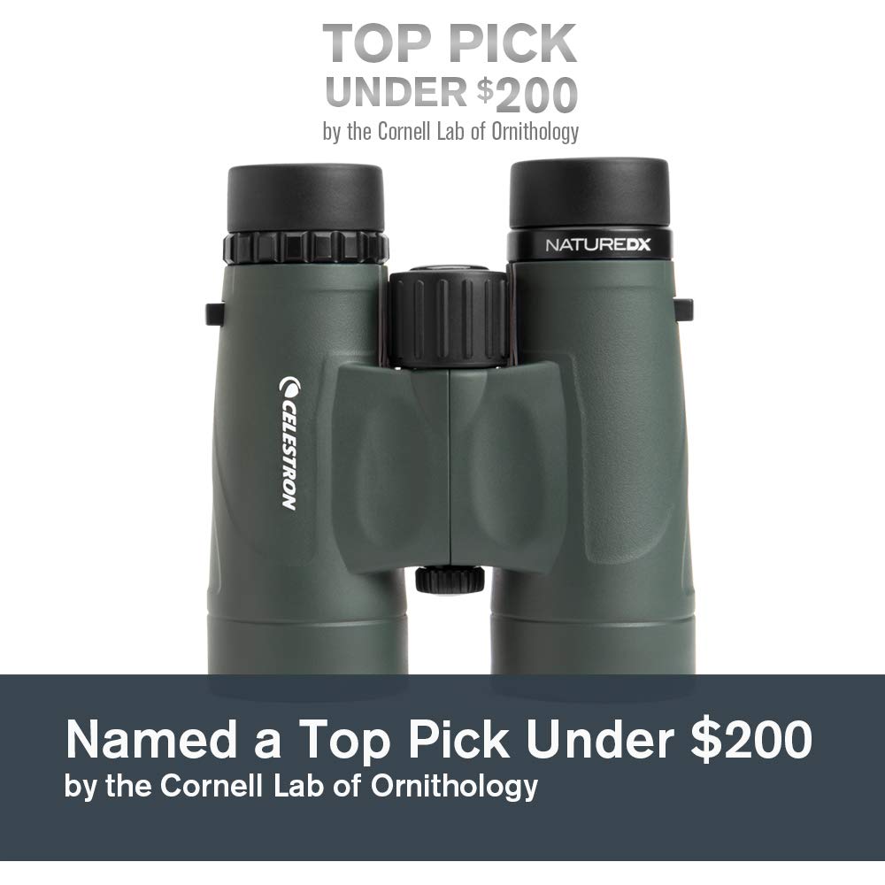 Celestron – Nature DX 8x42 Binoculars – Outdoor and Birding Binocular – Fully Multi-coated with BaK-4 Prisms – Rubber Armored – Fog & Waterproof Binoculars – Top Pick Optics