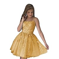 Spaghetti Straps Tulle Homecoming Dresses for Teens Short Prom Dress Lace Applique Cocktail Dress Party Gown