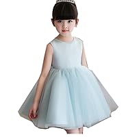 Julang Girls Kids Flower Wedding Pageant Party Gown Tulle Dress