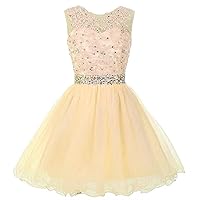 ZHengquan Women's Sleeveless Tulle Applique Beading Cocktail Dress Backless Homecoming Dresses