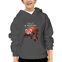 Unisex Youth Hooded Sweatshirt Funny Red Panda To Do List Cute Kids Hoodies Pullover for Teens