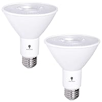 2 Pack PAR30 Outdoor LED Flood Light Bulb 12W 100 Watt Equivalent 900 Lumens Dimmable Waterproof E26 3000K Warm White LED Flood Light Bulbs for Security Spotlight Recessed Bulb