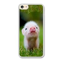 Personalize iPod Touch 6 Cases - Baby Pig Hard Plastic Phone Cell Case for iPod Touch 6