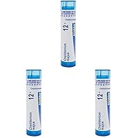 Chelidonium Majus 12C Homeopathic Medicine for Indigestion & Nausea - 80 Pellets (Pack of 3)