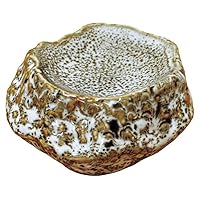 Pottery and Rock Stone Single Dish, Yuzu White, Approx. 3.3 x 3.3 x 1.8 inches (8.5 x 8.5 x 4.5 cm), Japanese Tableware