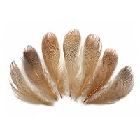 1 Dozen - Tan Mallard Duck Flank Plumage Feathers Jewelry Fly Tying Craft Supply | Moonlight Feather