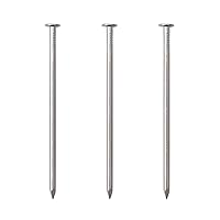 60pcs Hardware Nails, 3 Inches Nickel Plated Hanging Nails, Wall Nails for Hanging, Wood Nails, Long Nails (3 In)