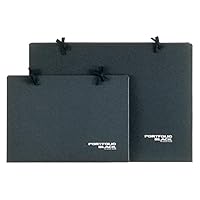 Maruman PF956 Portfolio, Black, B3