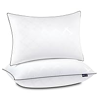 WL-PL-BS0 Bed Pillows, Queen Size, White 2 Count