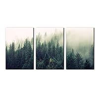 Pacimo Canvas Print Wall Art Set Aerial View of Pine Trees in Mist Nature Wilderness Photography Realism Rustic Scenic Modern Artwork Decor Stretch and Framed Ready to Hang - 16