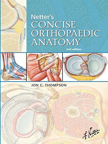 Netter's Concise Orthopaedic Anatomy E-Book, Updated Edition (Netter Basic Science)