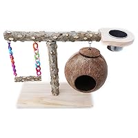 Bird for Play Stand Parrot Playstand Cockatiel Playground Wood Perch Gym Swing Hammock Nest with Feeder Cups Toys Exerci Parrot Bird Play Gym Stand Natural Wood for Birds