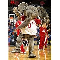 Giant gray elephant REDBROKOLY Mascot with a red and white t-shirt