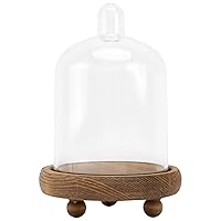 PartyKindom 1Pc Dessert Cake Pan Glass Bell Dome Cake Plate Cover Clear Display case Mini Cake Holder Mini Cake Cover fruitcakes Display Dome Cloche Desktop Decor Food Wood Bell jar Juicy