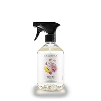 Multi-surface CounterTop Spray Cleaner, Made With Vegetable Protein Extract, Sweet Pea Scent, 16 Oz