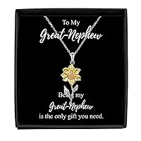 Being My Great-nephew Necklace Funny Present Idea Is The Only Gift You Need Sarcastic Joke Pendant Gag Sterling Silver Chain With Box