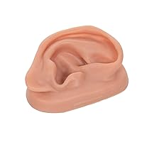 3B Scientific N15/1R SKINlike Silicone Right Acupuncture Ear Model, 3.7