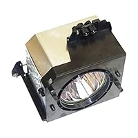 Samsung HLN617W Rear Projector TV Assembly with OEM Bulb and Original Housing