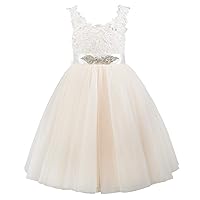 PLUVIOPHILY Deep V Back Lace Tulle Wedding Flower Girl Dress Junior Bridesmaid Dress Champagne