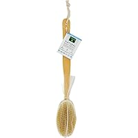 Earth Therapeutics Ecology Series Body Brush, Natural (Pack of 3)