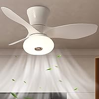 Ceiling Fans with Lamps,Reversible 6 Speed Timer Ceiling Fan with Lighting Led Dimmable Ceiling Fans with Lights and Remote Control for Office Kitchen 80Cm/White/B